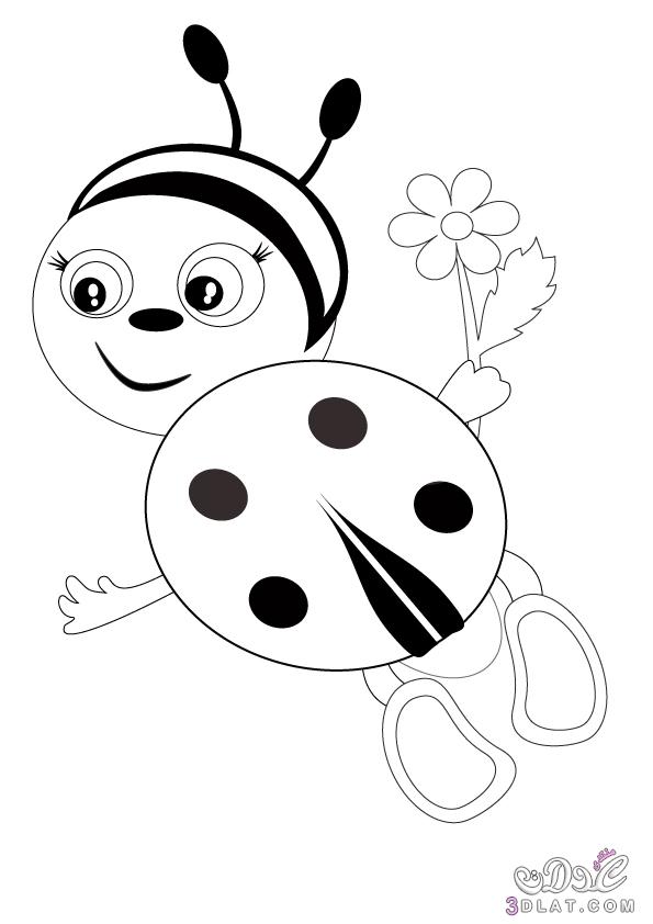 Ladybug Coloring Pages , صور تلوين الدعسوقه للاطفال