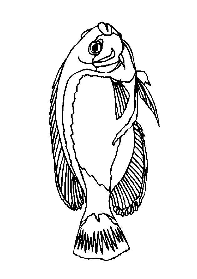 رسومات للتلوين ,رسوم سمك حصريه للتلوين 2024