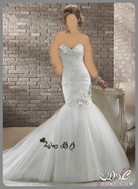رد: فساتين زفاف غاية في الاناقة,اجمل تصميمات فساتين الزفاف لعروس 2024-2024,فساتين زفا