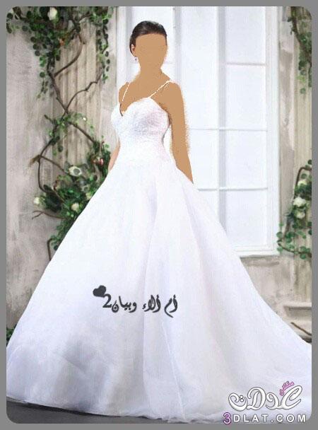 رد: فساتين زفاف غاية في الاناقة,اجمل تصميمات فساتين الزفاف لعروس 2024-2024,فساتين زفا
