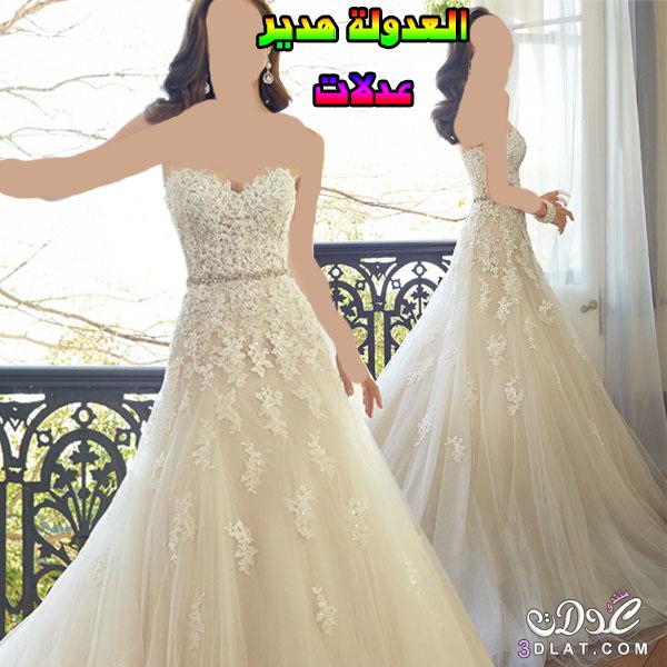 فساتين زفاف 2024,فساتين افراح بتصاميم عالمية2024,فساتين زفاف راقية,Wedding Dresses