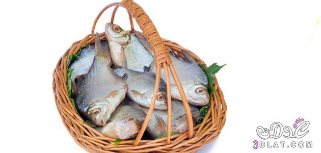 طريقة معرفة  السمك الطازج وقت الشراء, كيفية معرفة السمك الطازج اثناء شرائه, طريقة حفظ الأسماك بالثلاجة