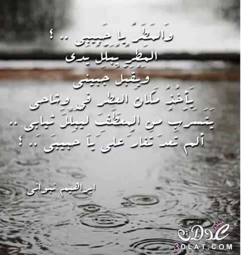 كلمات عن المطر والحب2024,المطر والشتاء,كلمات عن المطر والحنين