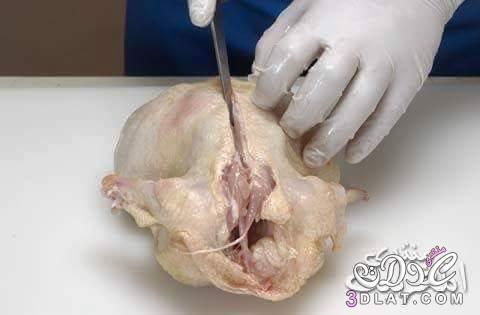 بالصور طريقة نزع عظام الدجاج
