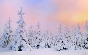 اجمل صور مناظر فصل الشتاء .بياض الثلج الناصع في فصل الشتاء