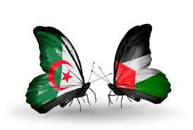 رد: ماذا تشجع الفريق الوطني الجزائر ولا الفريق الوطني الفلسطيني