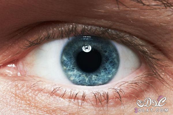 وصفات منزلية فعالة لعلاج التهاب جفن العين , نصائح فعالة لعلاج التهاب جفن العين