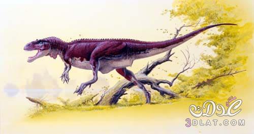 الديناصورات موضوع كامل عن انواع الديناصورات بالصور Dinosaurs