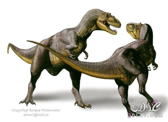 الديناصورات موضوع كامل عن انواع الديناصورات بالصور Dinosaurs