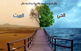 ♛♥ لا اله الا الله سبحان الله فضل التسبيح والتحميد والتهليل والتكبير  الا بدكر الله تطمان القلوب ♛♥