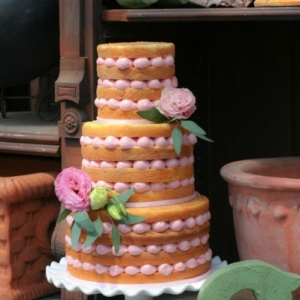 كعكات للزفاف , تورته تتميز بطابع الشتاء للزفاف ,Winter Wedding Cakes