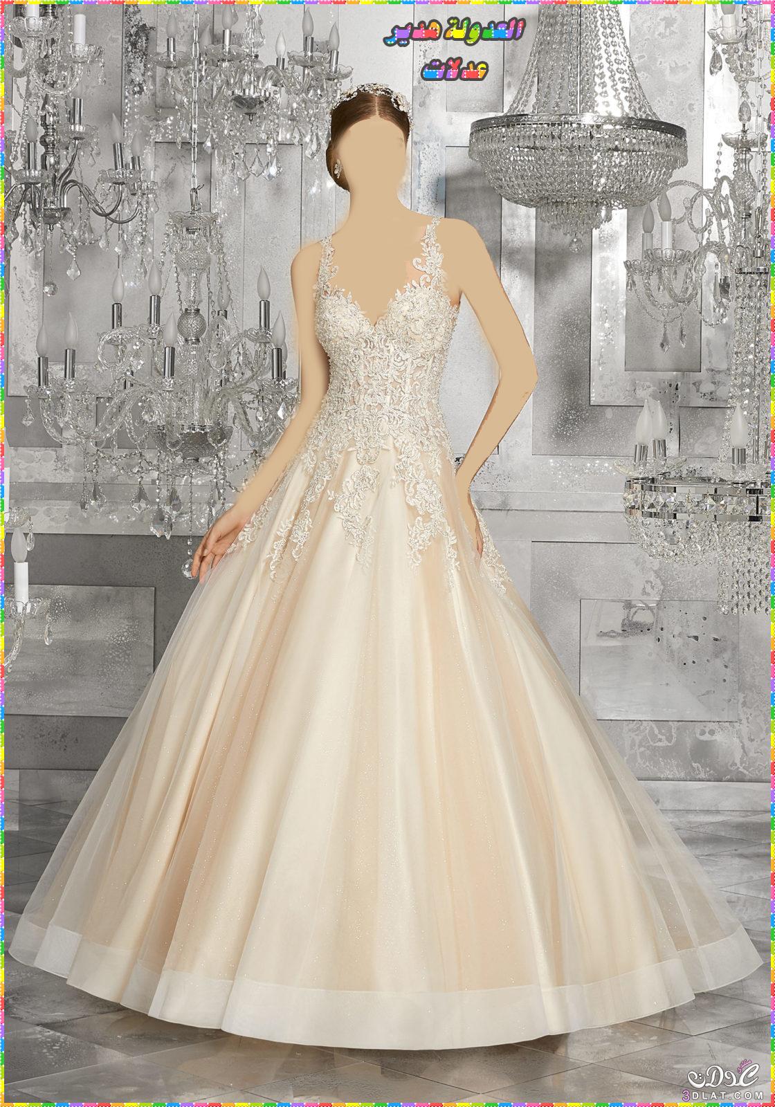 احدث تصاميم فساتين الزفاف 2024,ازياء اعراس رقيقة,Wedding Dresses