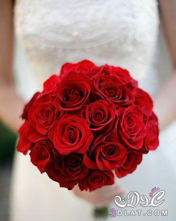 صور بوكيهات ورد طبيعي 2023 بوكيهات ورد احمر للافراح شيك بوكيهات للعرائس
