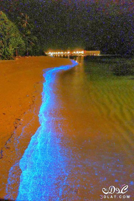 ضاهرة الشواطئ المتلألئة في جزر المالديف