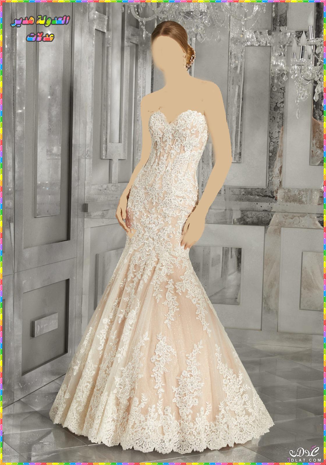 احدث تصاميم فساتين الزفاف 2024,ازياء اعراس رقيقة,Wedding Dresses