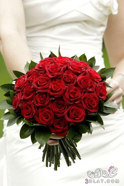 صور بوكيهات ورد طبيعي 2023 بوكيهات ورد احمر للافراح شيك بوكيهات للعرائس