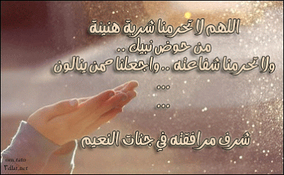 بطاقات تهنئة بالمولد النبوي الشريف 2025 , صور تهنئة بالمولد النبوي , خلفيات المولد ال