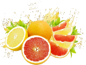 حضري عصير البرتقال للصيف   الأن موسم البرتقـال  لأنه فاكهة شتوية