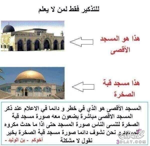 مسجد قبة الصخرة, معلومات تهمك عن المسجد, بالصور مسجد قبة الصخرة بفلسطين