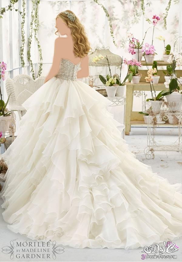 فساتين زفاف عالمية رقيقة لعروس عدلات المميزة2024.2024،تألقى فى زفاف بأرق الفساتين