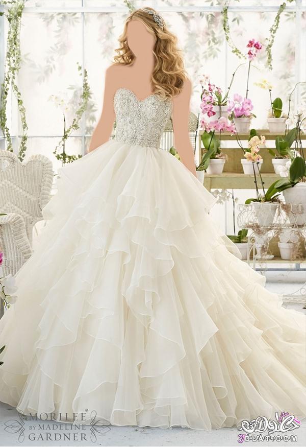 فساتين زفاف عالمية رقيقة لعروس عدلات المميزة2024.2024،تألقى فى زفاف بأرق الفساتين