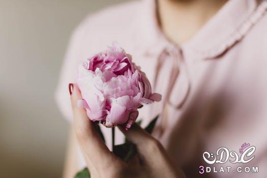 صور ورود رومانسية 2024 للعشاق , الورود من أجمل الهدايا, خلفيات من ألأزهار