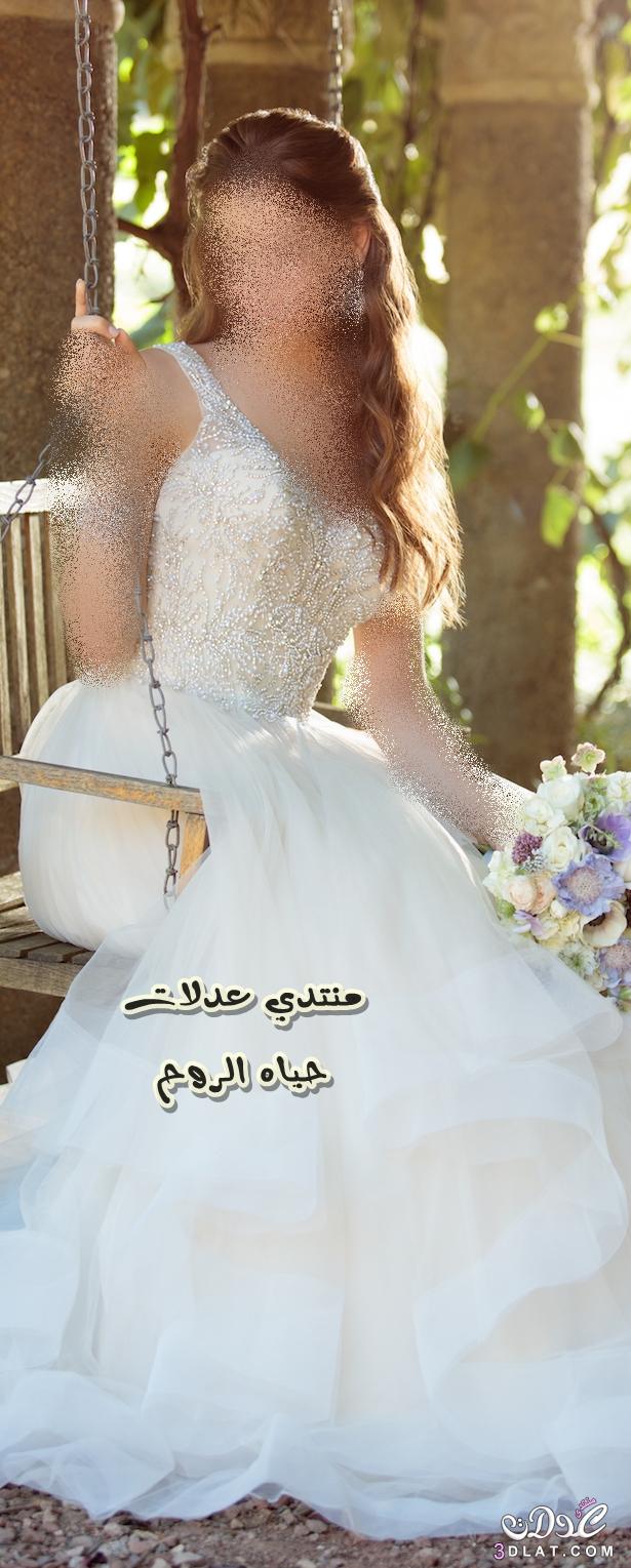20 صورة خلابة لفساتين زفاف منفوشة , صور فساتين زفاف , تصاميم عالميه لفستان زفافك