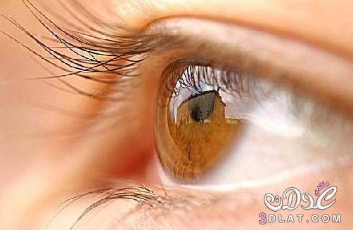 طرق سهلة وبسيطة للعناية بالعين2024 اجمل الطرق للمحافظة على العين .العناية بالعين