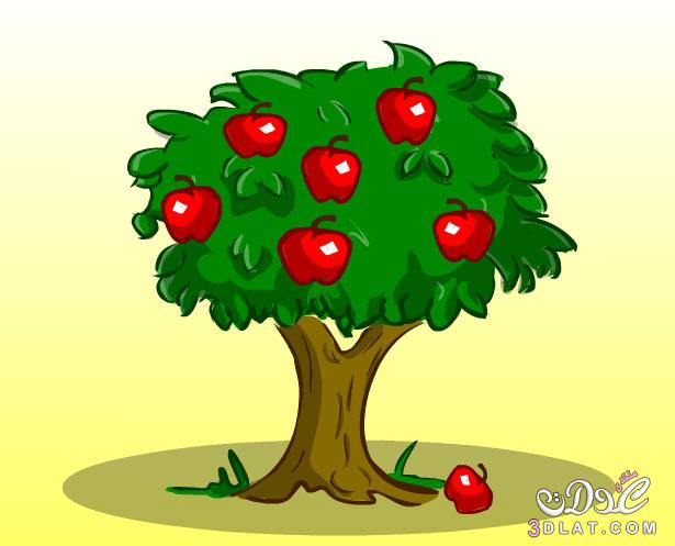 قصة عمر وشجرة التفاح,تعرفي علي قصة عمر مع شجرة التفاح,وفاء عمر مع شجرة التفاح