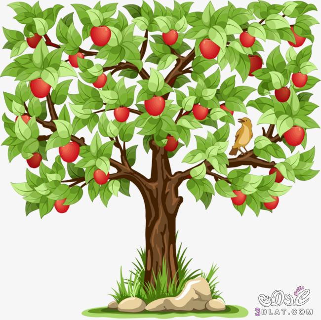 قصص اطفال قصيه بالانجليزيه , قصه شجره التفاح مترجمه , apple tree story