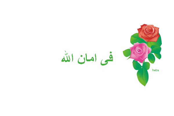 طول الأمل مشاري راشد العفاسي (ألبوم قلبي محمد ﷺ)- Mishari Rashid Alafasy Tool Al-Amal