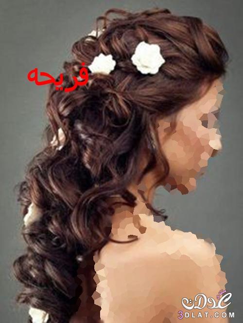 تسريحات شعر للعروس,اجمل وارق تسريحات الشعر 2024