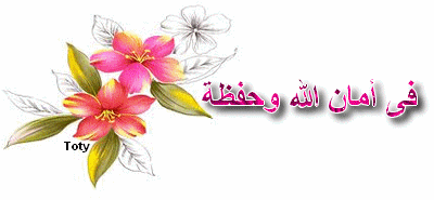 تصميماتى عن الصداقه