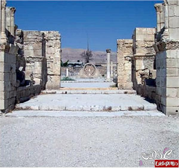قصر الخليفة الاموي هشام بن عبد الملك، معلومات عن قصر الخليفة الاموي هشام بن عبد الملك