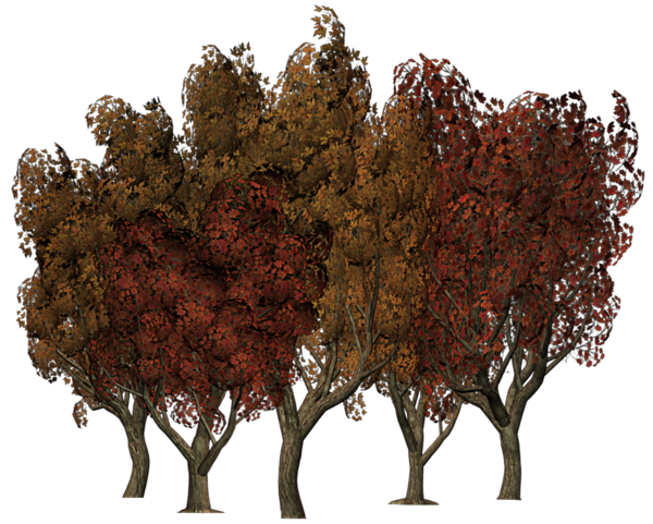 سكرابز اوراق الشجر في الخريف ، سكرابز اشجار الخريف للتصميم بدون تحميل