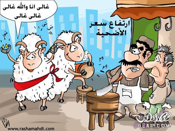 كاريكاتير خروف العيد 2024 رسومات كاريكاتورية بمناسبة عيد الأضحى 2024 كاريكتير مضحك خرفان العيد