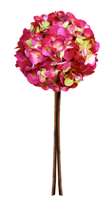 سكرابز اشجار من الورد ، سكرابز للتصميم بدون تحميل باشكال جديده