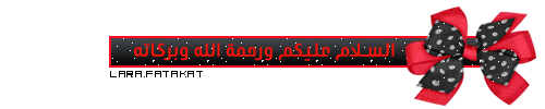 الشيخ عبد الله الشرقاوي أمام الأزهر الشريف وزعيم المقاومة الشعبية