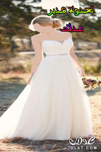 اجمل فساتين الزفاف , فساتين زفاف راقية , weeding dresses2024