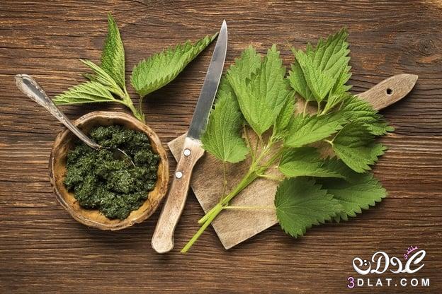 علاج الأملاح بوصفات من الطب البديل , 5 وصفات من ألأعشاب لعلاج الأملاح الزائده في الجسم