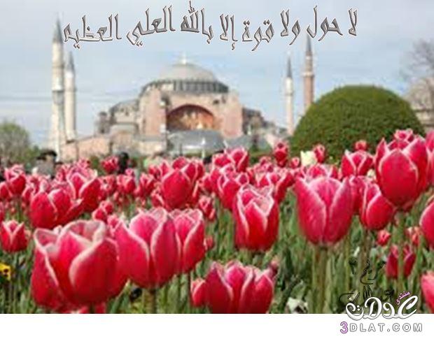 من تصميمى أجمل الصور الدينية 2024 أجمل الصور الإسلامية صور مكتوب عليها عبارات دينية