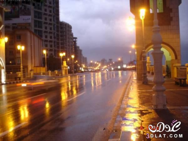 روعة اسكندرية في الشتاء,جمال المناظر الطبيعية في اسكندرية بفصل الشتاء