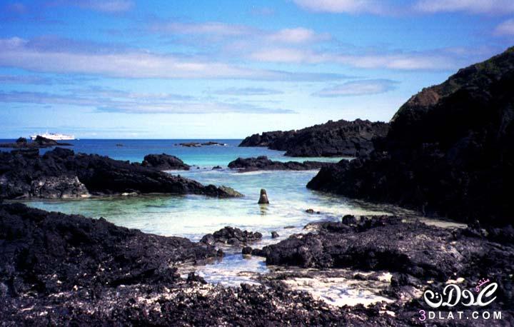 جزر الجالاباجوس, تعرفي علي جزر الجالاباجوس والمناظر الخلابة واشكال الحيوانات المختلفه