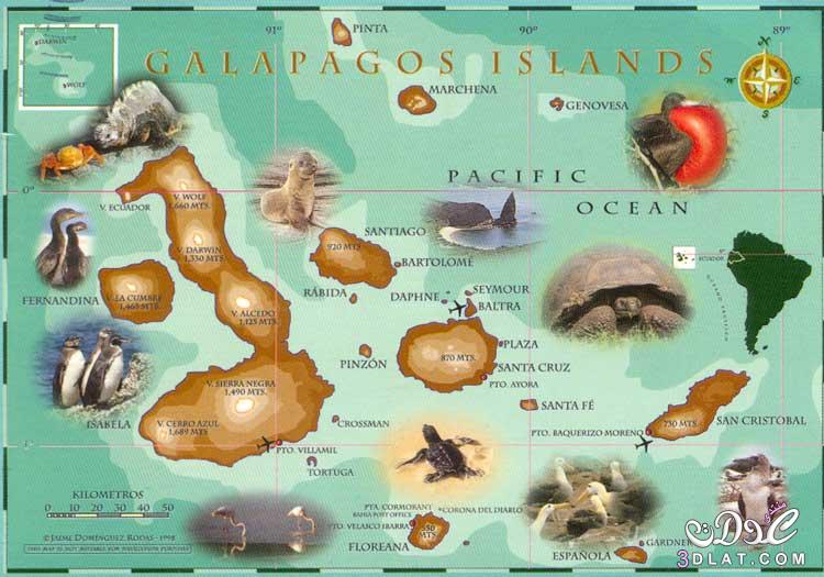 جزر الجالاباجوس, تعرفي علي جزر الجالاباجوس والمناظر الخلابة واشكال الحيوانات المختلفه