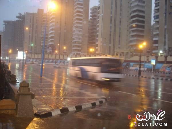 روعة اسكندرية في الشتاء,جمال المناظر الطبيعية في اسكندرية بفصل الشتاء