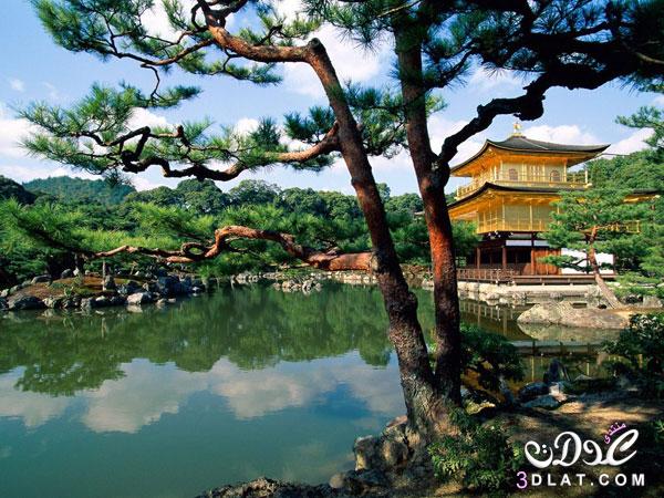 بالصور:عجائب اليابان اليوم 2024 معلومات عن بعض الاماكن في السياحية الكبرى في اليابان