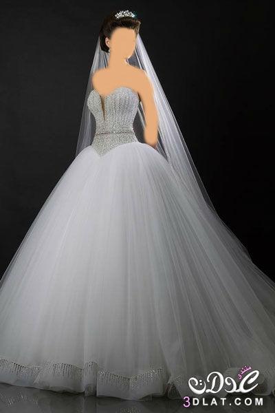 فساتين زفاف منفوشة2024 للمصمم اللبنانيAppolo ’تصميمات فاخرة ,فساتين زفاف وخطوبة