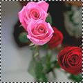 رد: ♠ 45 رمـزية ورد من تصميـمى حصري مع مرمورى ♥