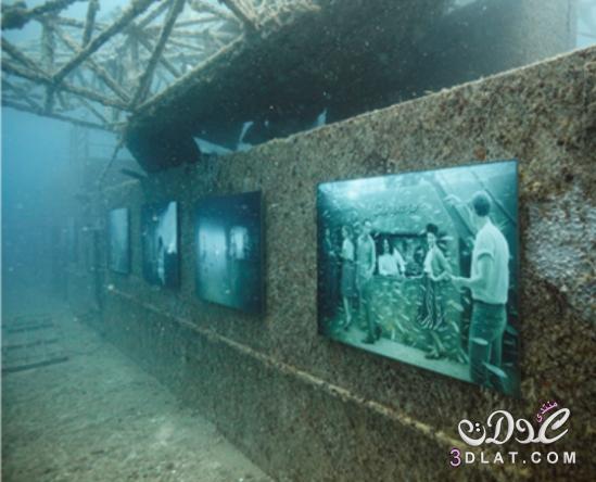 لوحات فنية تحت الماء,معرض لوحات فنية تحت الماء عمق 13 قدم,غرائب معرض لوحات فنيه تحت ا