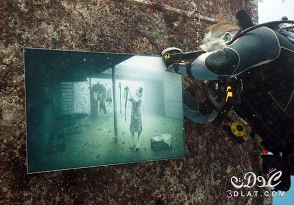 لوحات فنية تحت الماء,معرض لوحات فنية تحت الماء عمق 13 قدم,غرائب معرض لوحات فنيه تحت ا